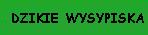 DZIKIE WYSYPISKA