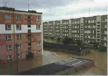 Powd