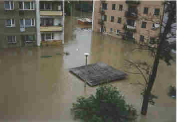 Powd