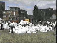 Rozmiar: 10163 bajtów