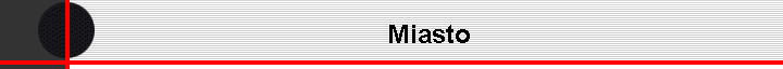 Miasto