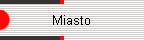 Miasto