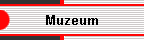 Muzeum