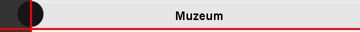 Muzeum