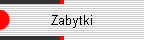 Zabytki